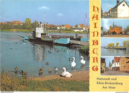 BG12625 cygne swan hainburg hessen  ship bateaux  germany