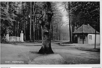 BG34317 varel waldeingang germany