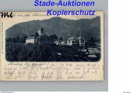 Hornberg - 50275260