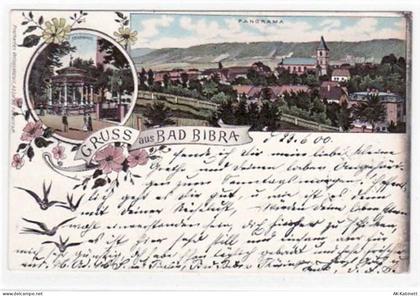 Lithographie Gruß aus Bad Bibra mit Panorama und Brunnenhalle gelaufen v... - 39013021