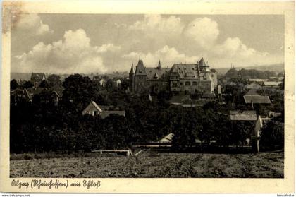 Alzey mit Schloss