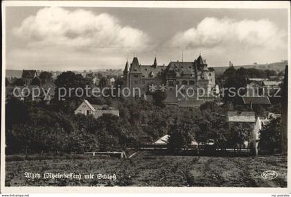 Alzey mit Schloss