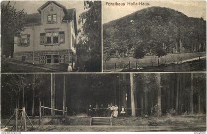 Niederwiesen Kr. Alzey - Forsthaus Holla-Haus