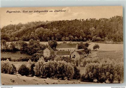 39459946 - Angermuende