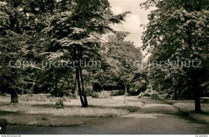 Anklam Mecklenburg-Vorpommern Im Park
