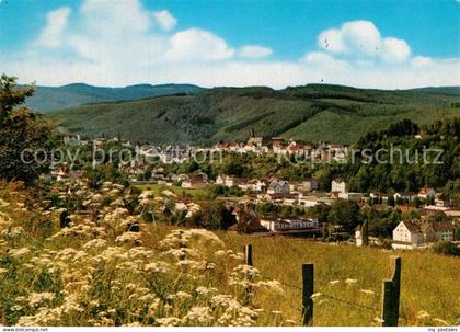 Arnsberg Westfalen Panorama