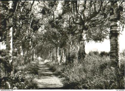 Bad Aibling Moorbad Aibling Allee