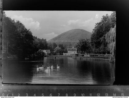 30034584 - Bad Bergzabern