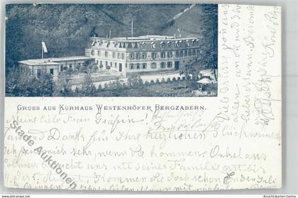 51391218 - Bad Bergzabern
