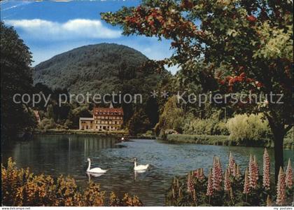 Bad Bergzabern Schwanenweiher
