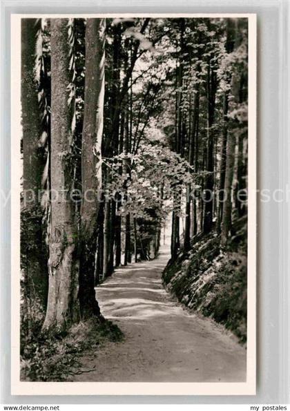 Bergzabern Bad Philosophenweg