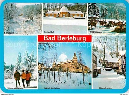 Bad Berleburg Lustschloss Wildfuetterung Schloss Berleburg