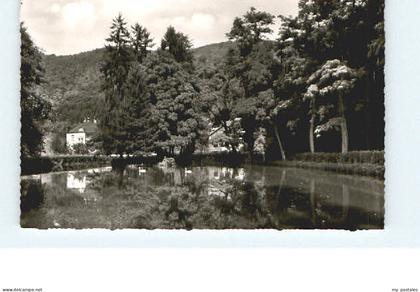 Bad Bertrich
