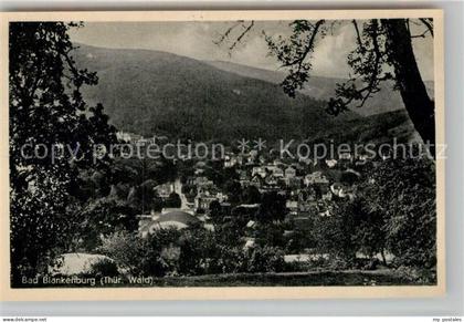 Bad Blankenburg Panorama