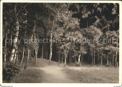 Bad Bramstedt Waldpartie