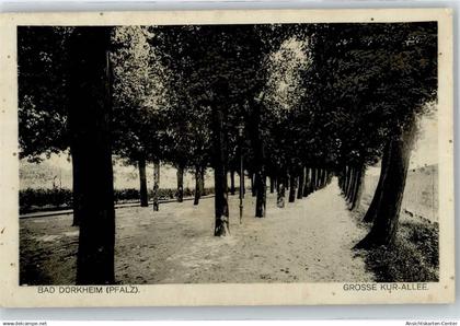 50819939 - Bad Duerkheim