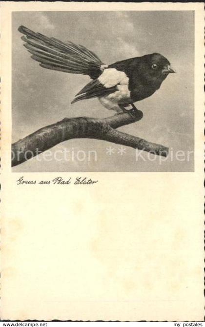 Bad Elster Elster