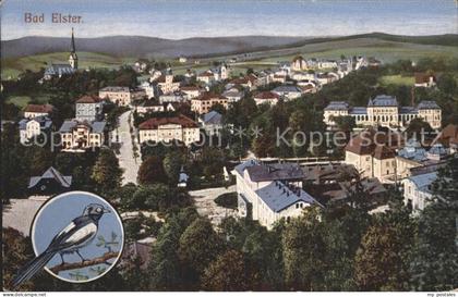 Bad Elster Stadtansicht Elster