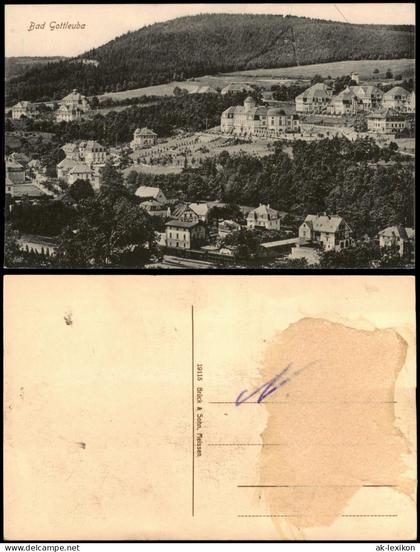 Ansichtskarte Bad Gottleuba-Bad Gottleuba-Berggießhübel Stadtblick 1915