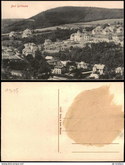 Ansichtskarte Bad Gottleuba-Bad Gottleuba-Berggießhübel Stadtblick 1915