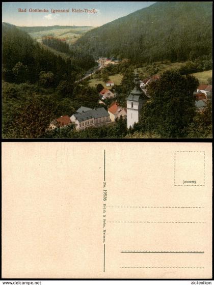 Ansichtskarte Bad Gottleuba-Bad Gottleuba-Berggießhübel Stadtpartie 1912