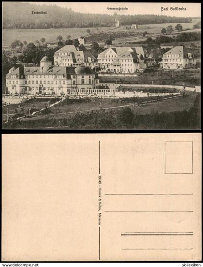 Bad Gottleuba-Bad Gottleuba-Berggießhübel Zentralbad Genesungsheim 1914