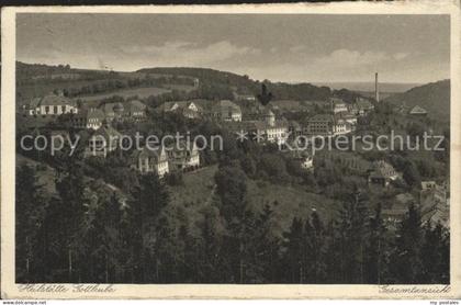 Bad Gottleuba-Berggiesshuebel Gesamtansicht