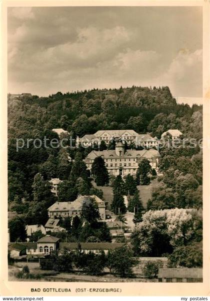 Bad Gottleuba-Berggiesshuebel Panorama