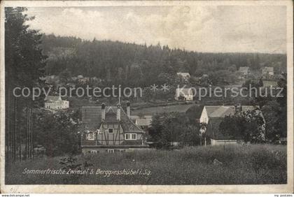 Zwiesel Bad Gottleuba-Berggiesshuebel