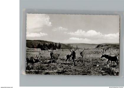 50224069 - Bad Harzburg