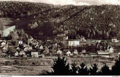 Bad Koenig Odenwald Panorama