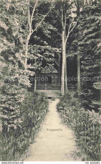 Laasphe BAD LAASPHE NRW Siegquelle