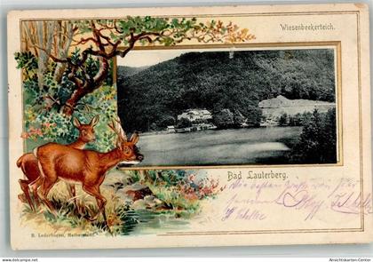 13587929 - Bad Lauterberg im Harz