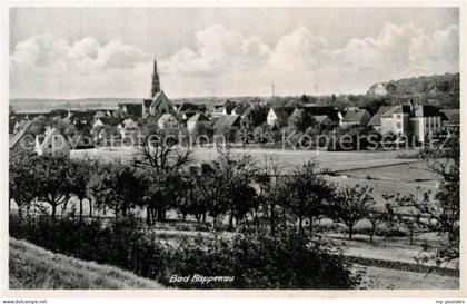 Bad Rappenau Panorama