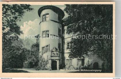 Bad Rappenau Schlosseingang