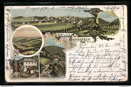 Lithographie Bernstein a. Wald, Gastwirtschaft Fels, Schübelhammer, Hirschstein a. d. Wilden Rodach
