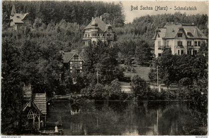Bad Sachsa, Schmelzteich