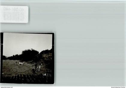 40061449 - Bad Sassendorf