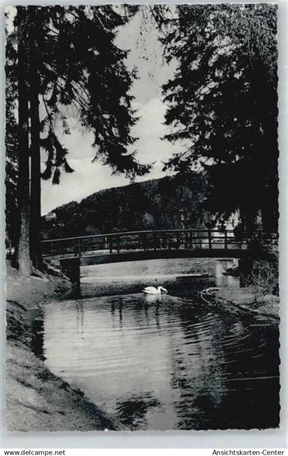 50413574 - Bad Schwalbach