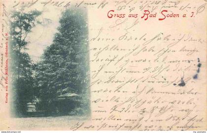 BAD SODEN  Taunus Waldpartie