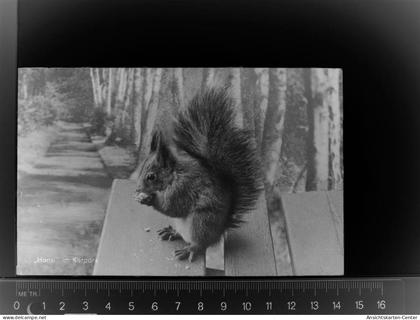 30012747 - Bad Steben