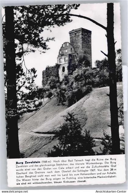 50535315 - Bad Teinach