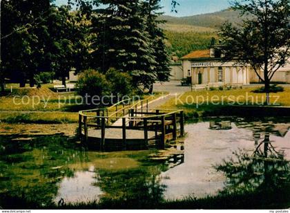 Zwesten Bad Loewensprudel