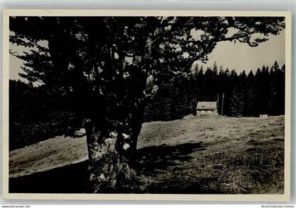 38054479 - Muenstertal , Schwarzwald