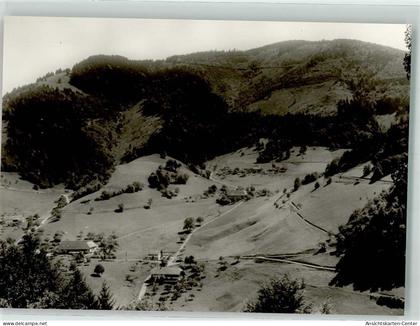 39671910 - Muenstertal , Schwarzwald