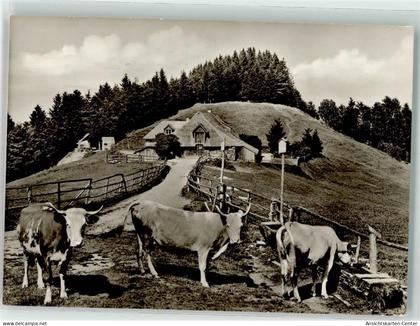 39711373 - Muenstertal , Schwarzwald