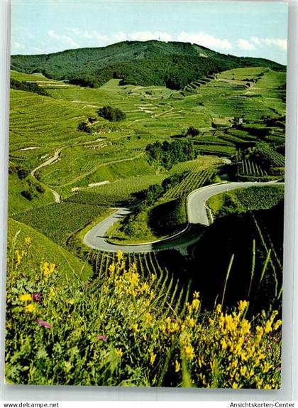 39970521 - Oberbergen , Kaiserstuhl