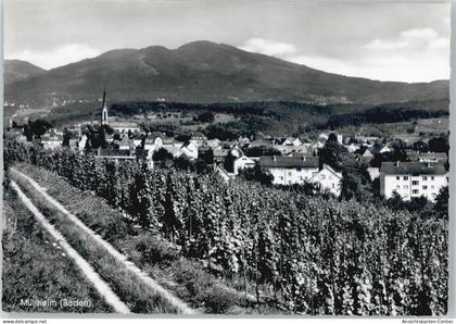 50435276 - Muellheim , Baden
