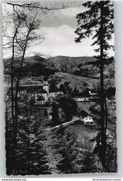 50533132 - Muenstertal , Schwarzwald