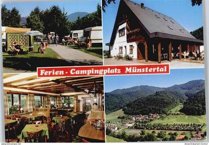 50533291 - Muenstertal , Schwarzwald